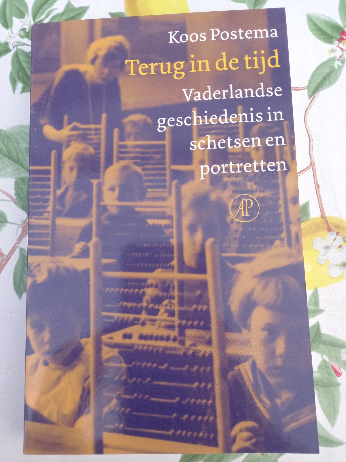 D  K. Postema - Terug in de tijd, 20e eeuw of later, K. Postema, Ophalen of Verzenden, Zo goed als nieuw