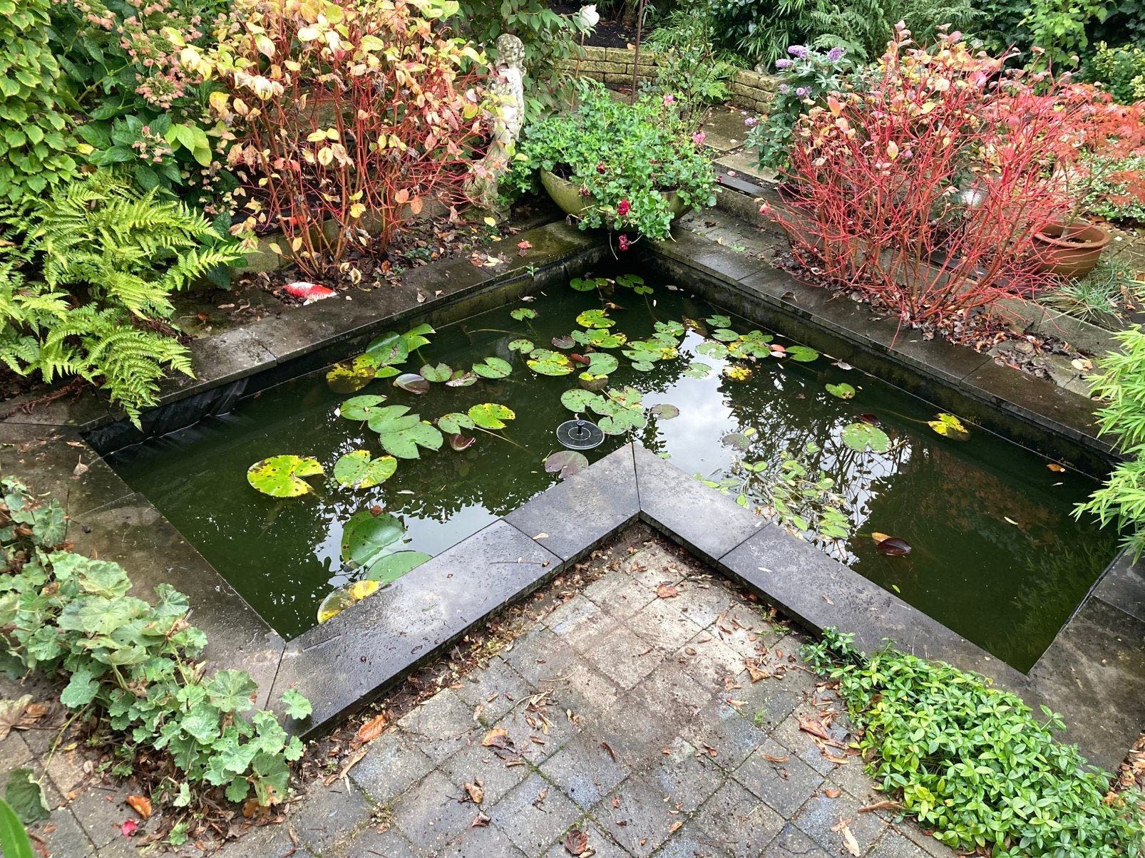 GERESERVEERD! GRATIS vijver rand steen afmeting 3x3 meter, Ophalen, Gebruikt