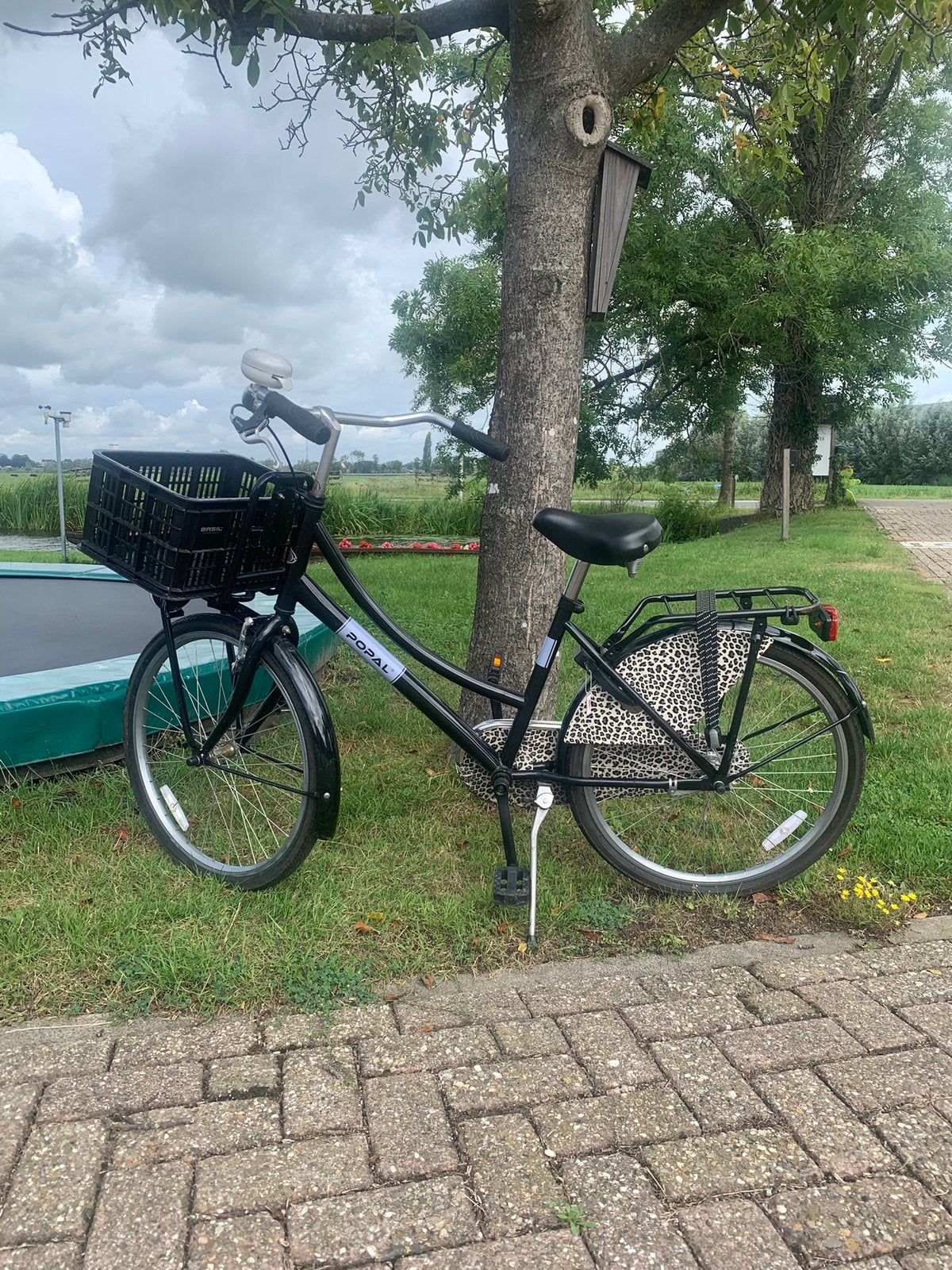 Meisjesfiets, Fietsen en Brommers, Fietsen | Meisjes, Ophalen, Terugtraprem, Handrem, Gebruikt