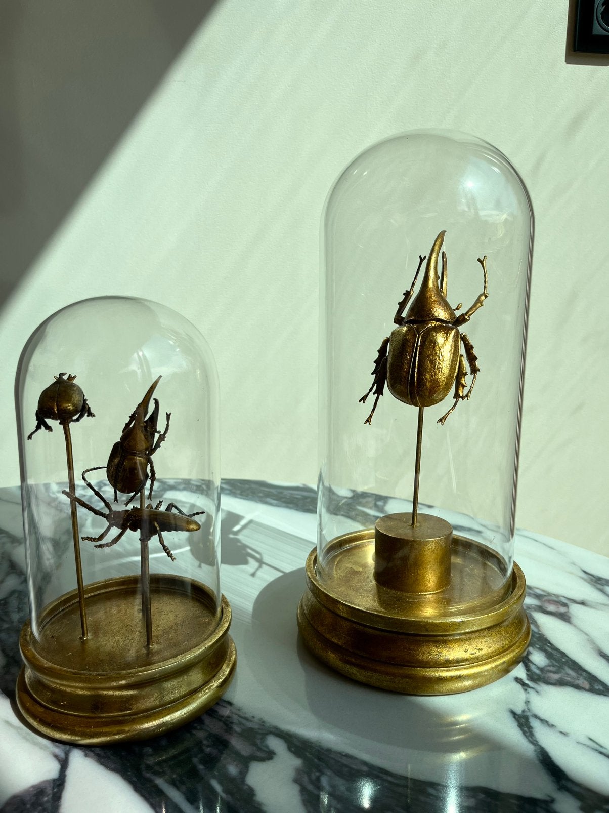 KARE Design Insecten onder Glazen Stolp – Set van 2, Ophalen, Zo goed als nieuw