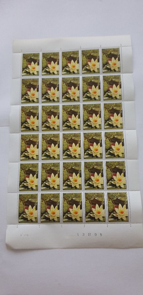 7231 belgie vel van 30 gentse floralien 1970 2f50, Verzenden