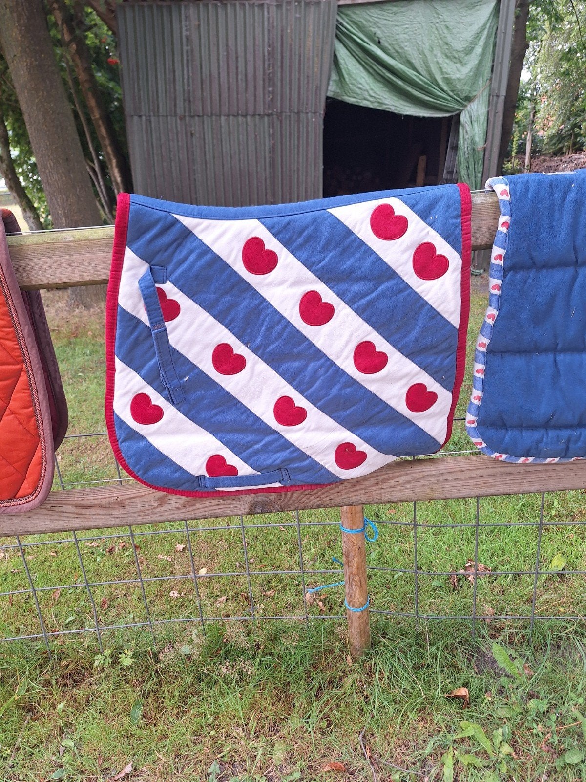 Fries dressuur dekje, Dressuurdekje, QHP, Zo goed als nieuw, Full (L)