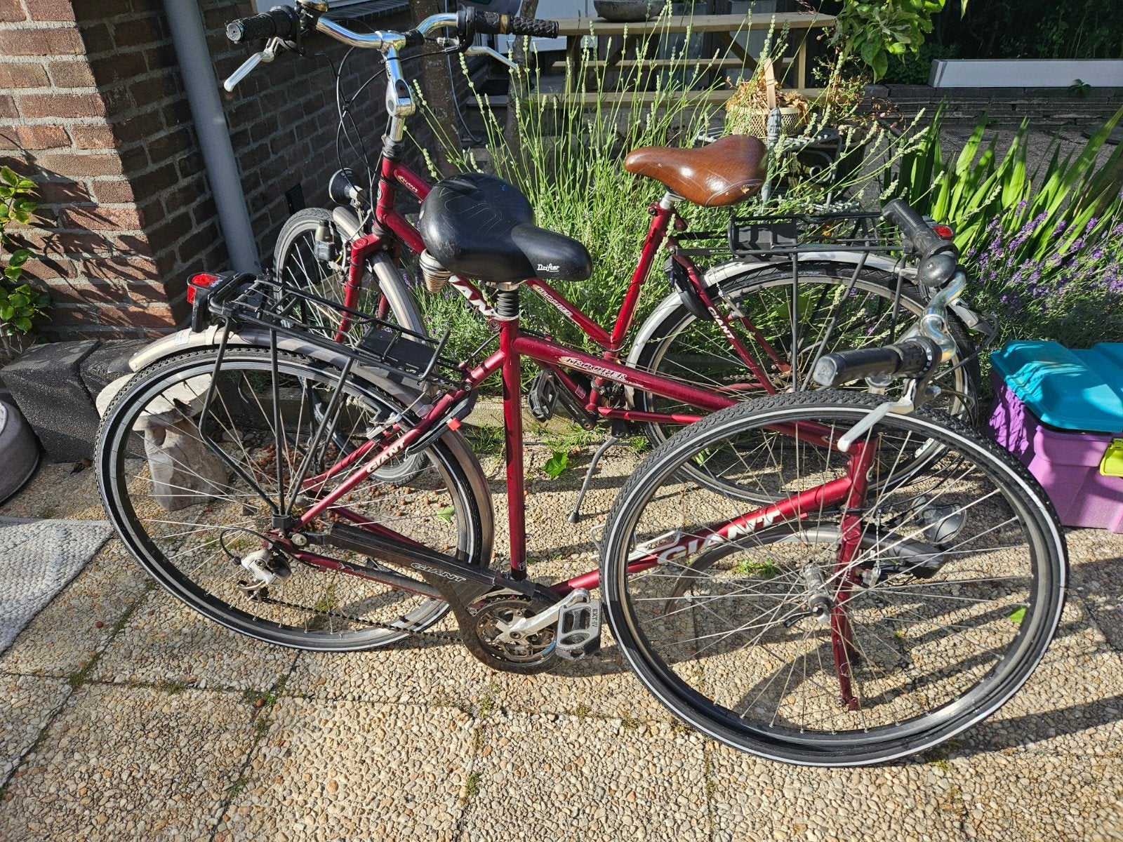 Set Giant dames- en herenfietsen - opknappers, Ophalen
