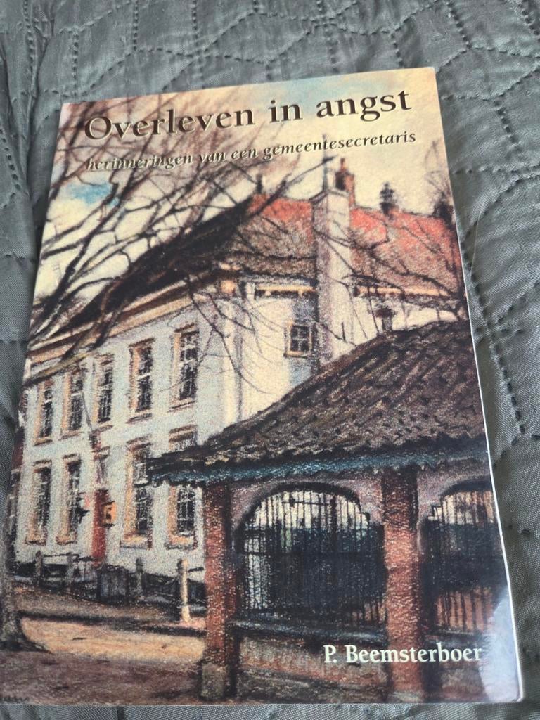 Overleven in angst, Ophalen of Verzenden, 20e eeuw of later, Gelezen, P. Beemsterboer