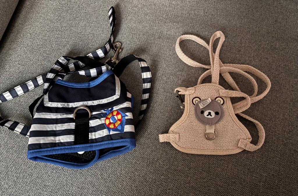2 katten tuigjes, Ophalen, Zo goed als nieuw