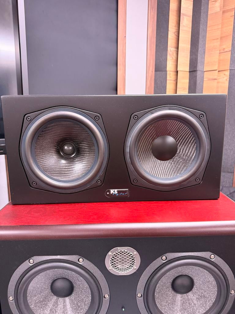 KS Digital Perfecte Studio Monitoren, Audio, Tv en Foto, Luidsprekers, Gebruikt, 120 watt of meer, Front, Rear of Stereo speakers
