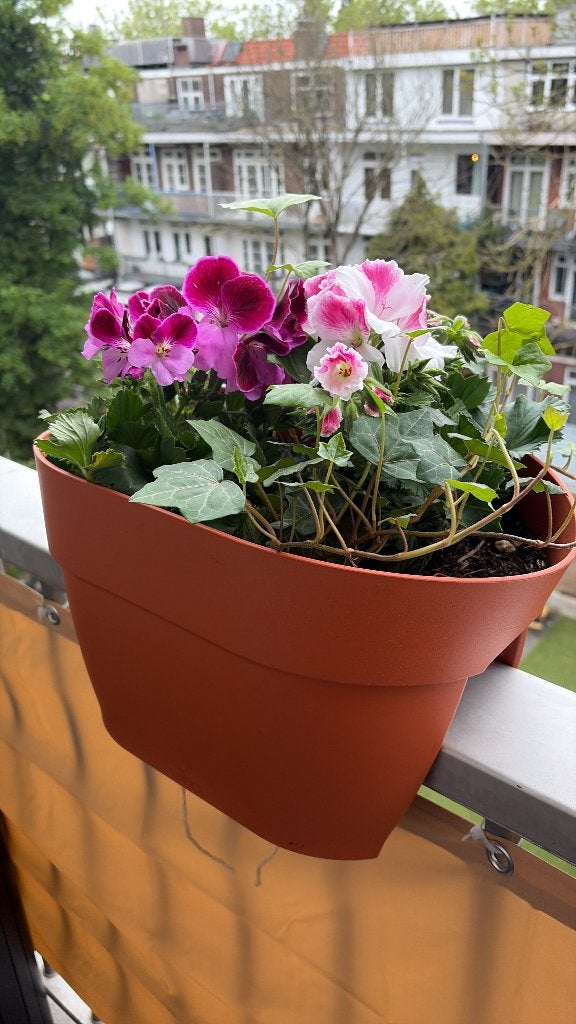Elho Vibia Campana flower bridge (x5), Kunststof, Gebruikt, Minder dan 40 cm, Overige vormen