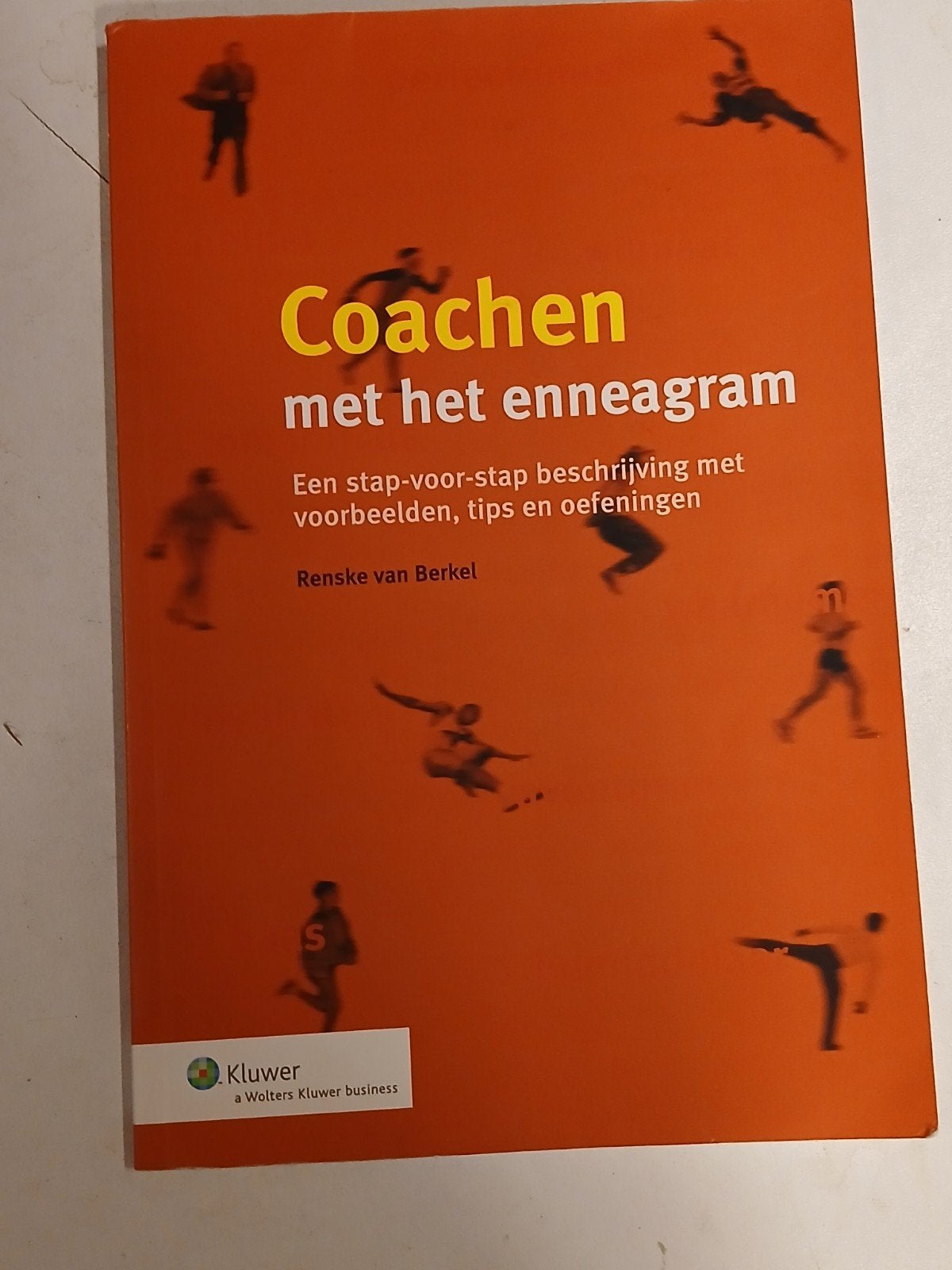 Coachen met het enneagram, Boeken, Ophalen of Verzenden, R. VAN Berkel, Sociale wetenschap