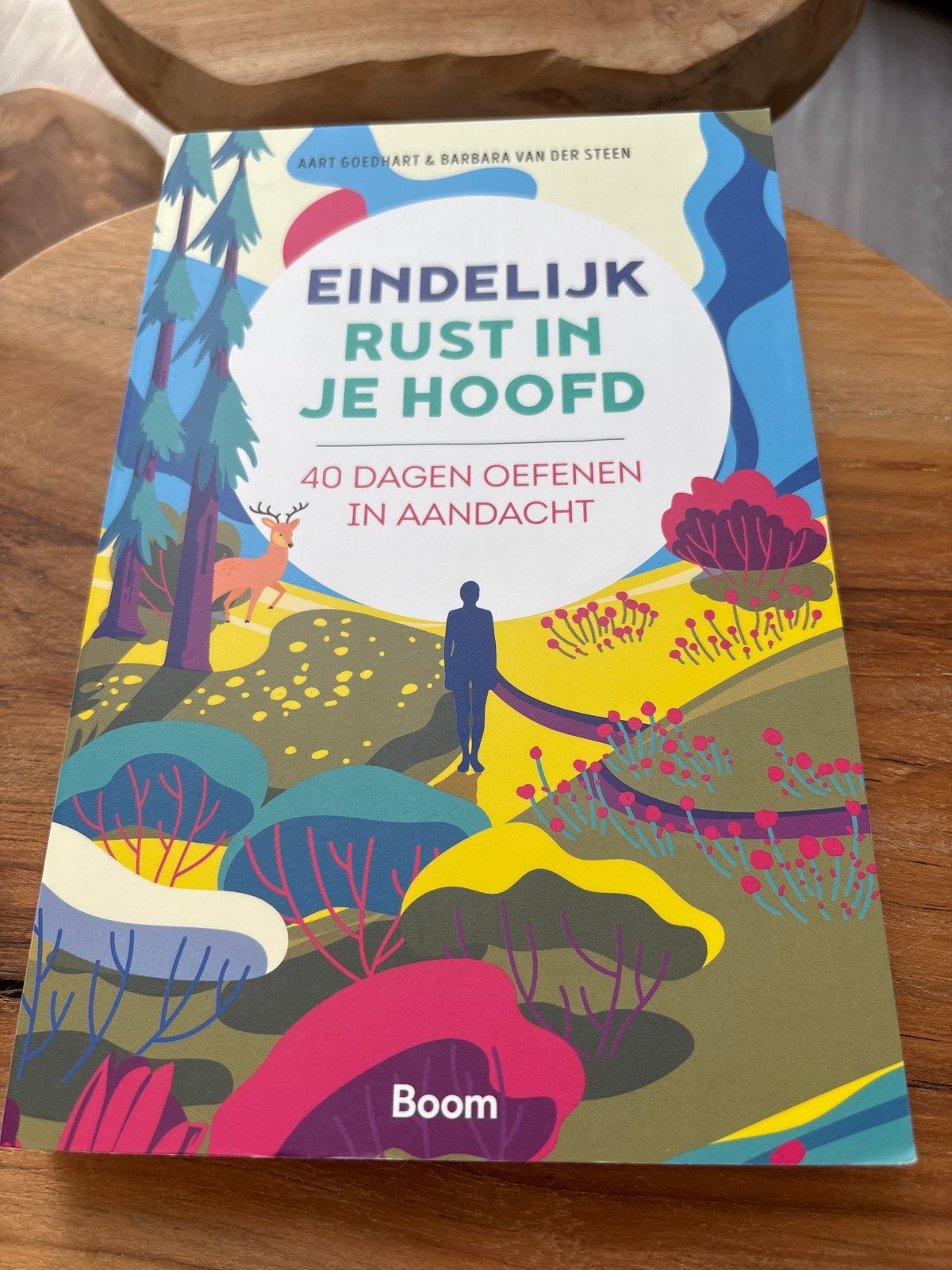 Eindelijk rust in je hoofd - 40 dagen oefenen in aandacht, Boeken, Ophalen of Verzenden, Zo goed als nieuw, Meditatie of Yoga