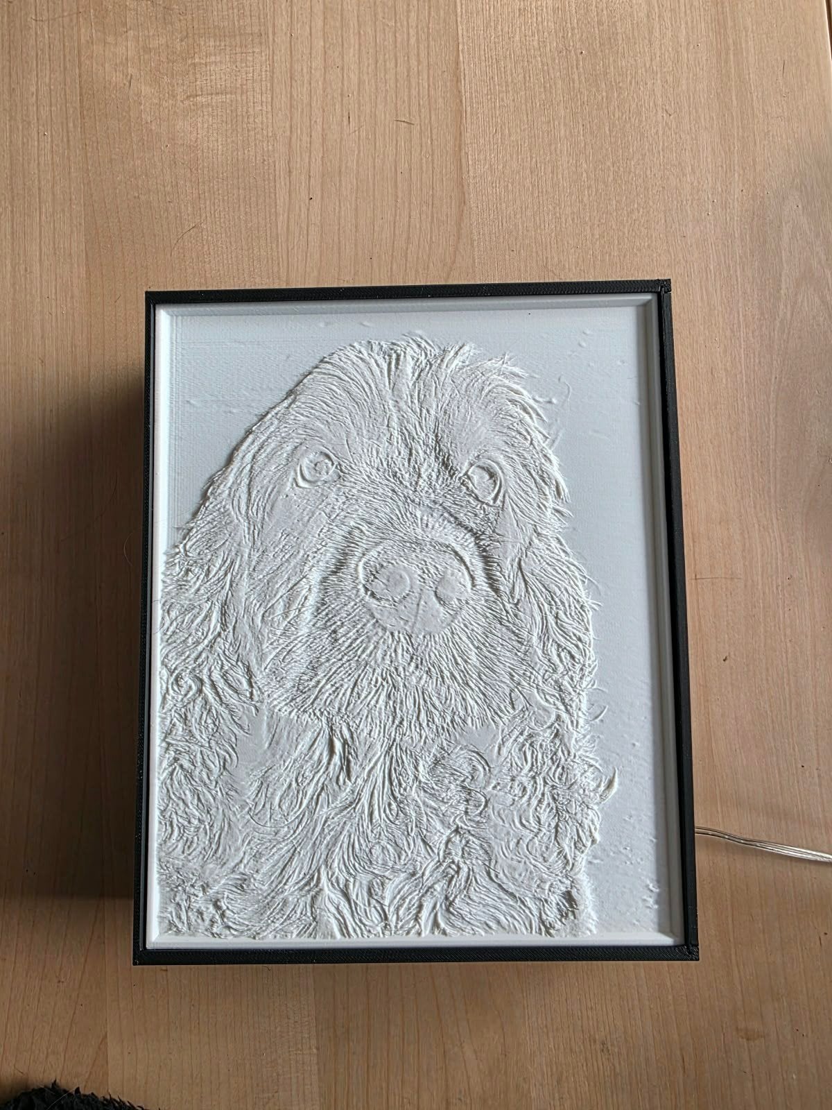 Lithophane 3D Geprint met LED-verlichting - Jouw Foto!, Zundert, nederlands, Emma3d-creations@outlook.com, Nieuw, Kunststof