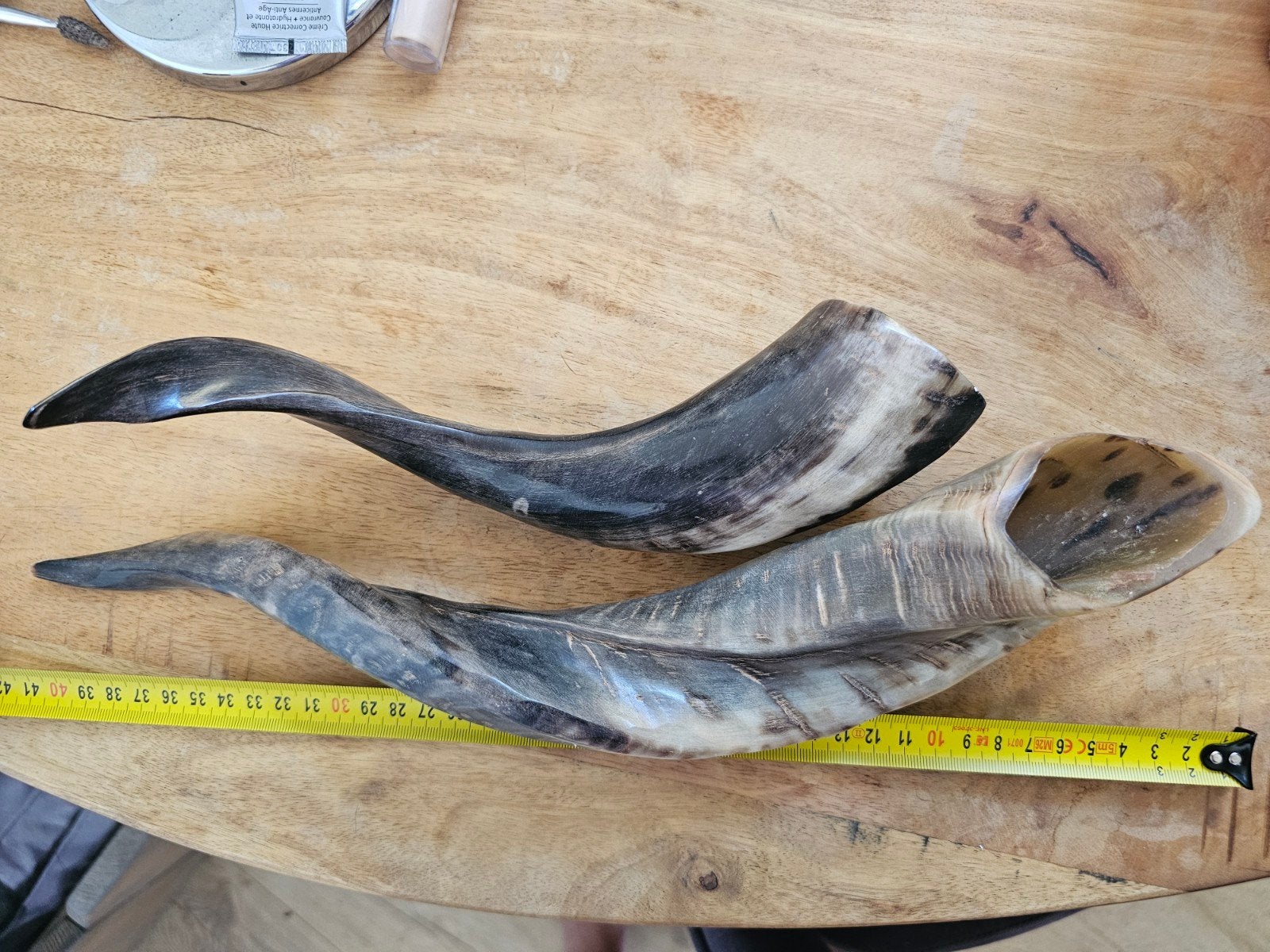 Echte Hoorns - Unieke Blikvanger voor uw Interieur, Ophalen of Verzenden
