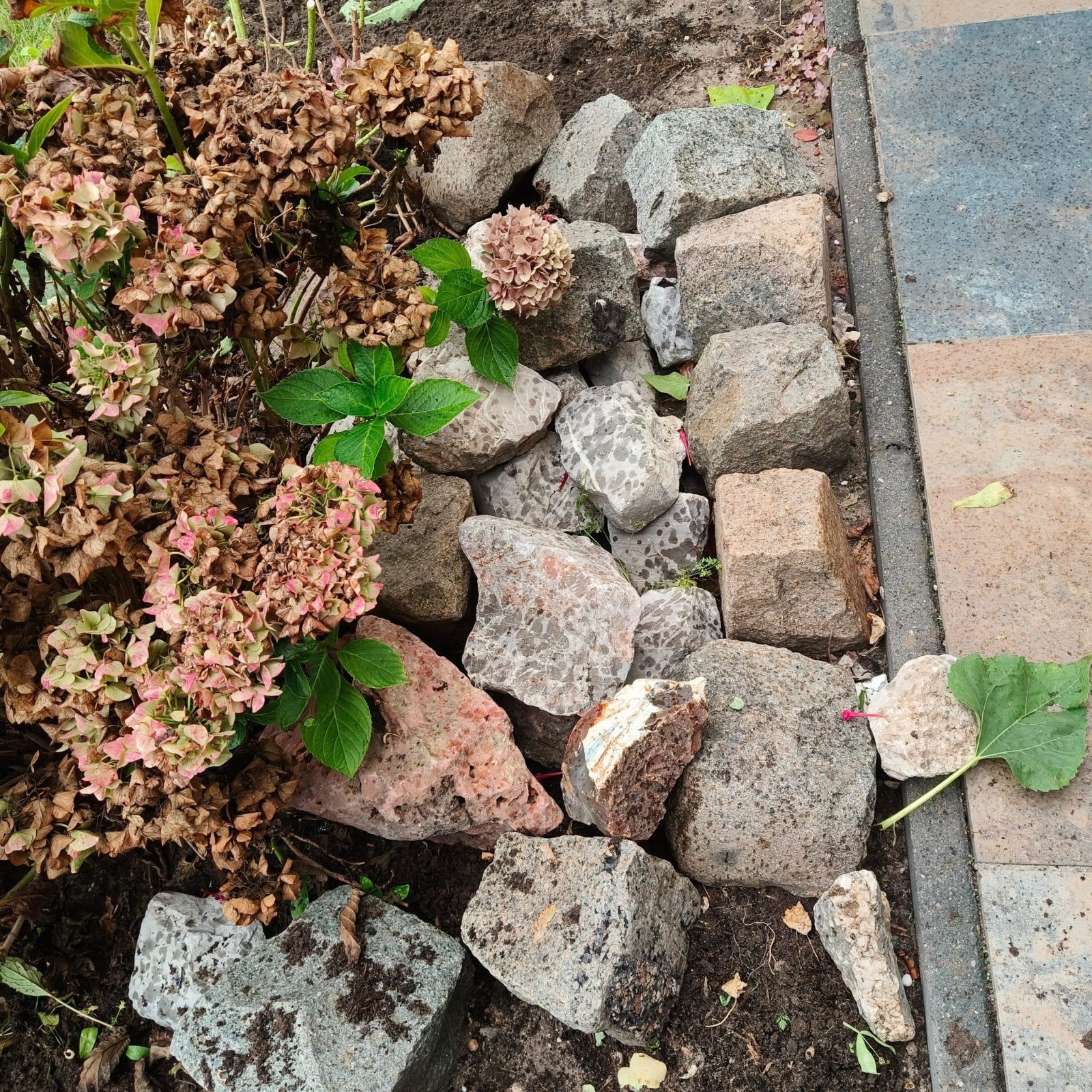 Diverse rotsen en keien voor tuin of decoratie, Tuin en Terras, Ophalen, Overige materialen, Gebruikt, Kei