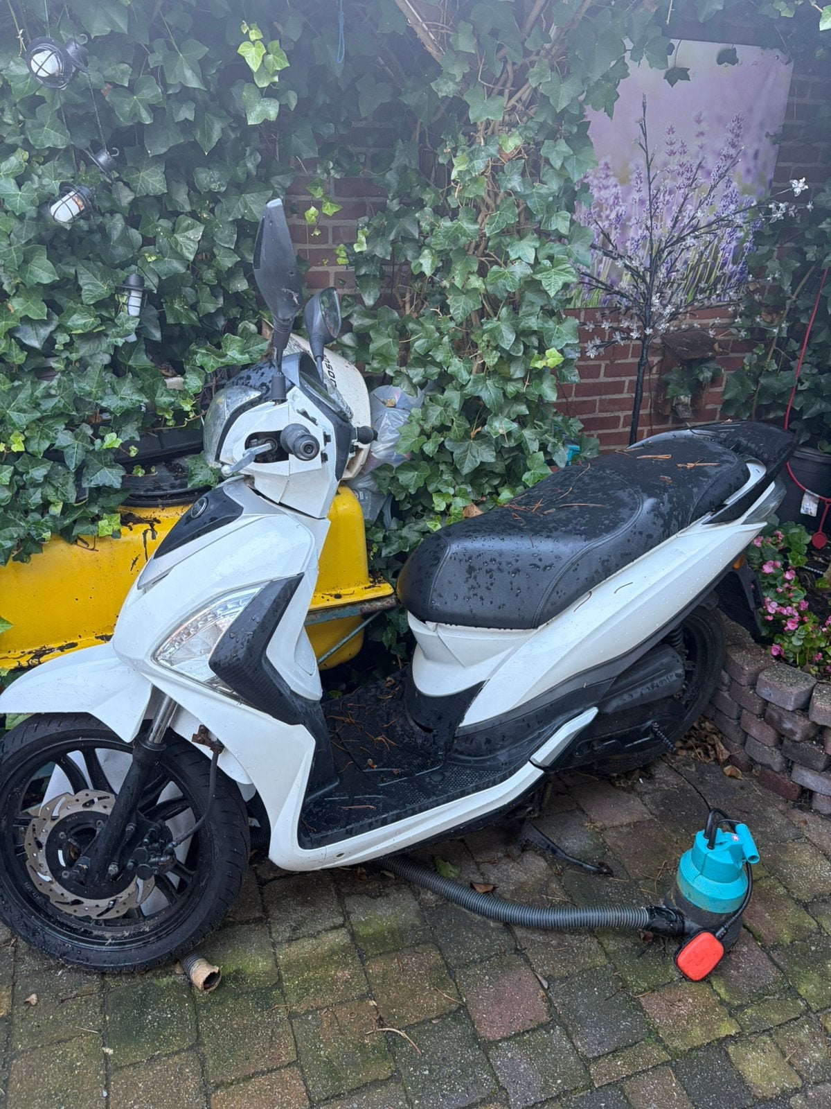 Sym symphony project, Fietsen en Brommers, Ophalen, Overige modellen, Zo goed als nieuw, Benzine