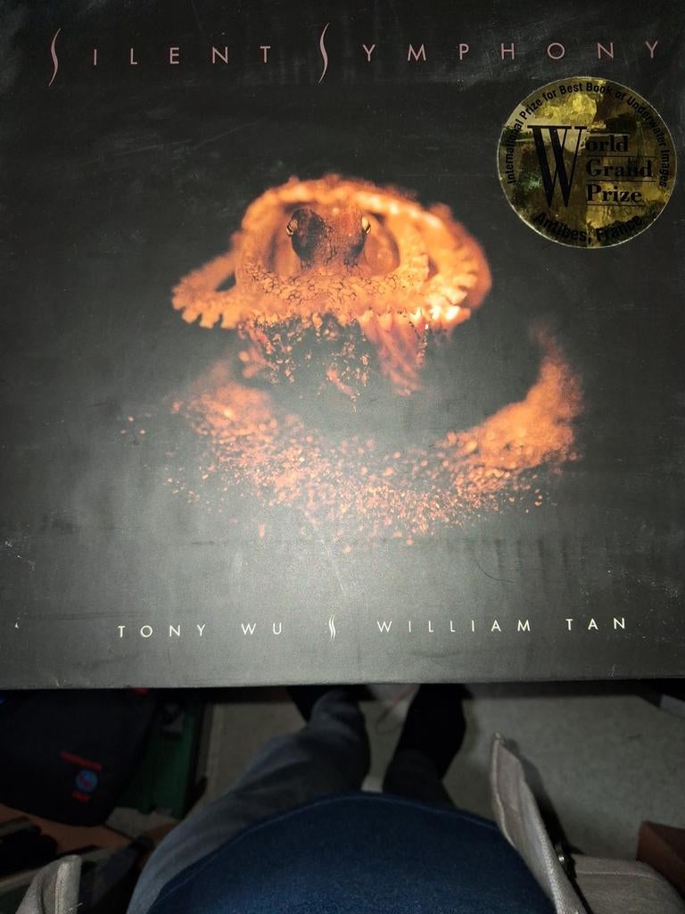 Silent Symphony - Tony Wu & William Tan (Gesigneerd), Ophalen of Verzenden