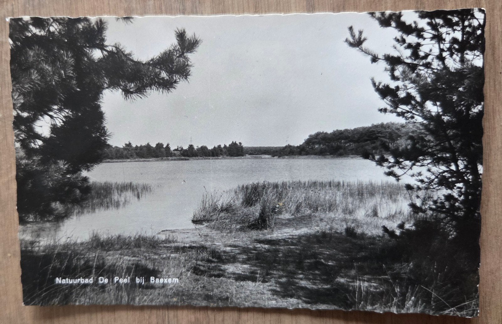 Oude ansichtkaart Baexem - Uitgave W. van Eck, Ophalen of Verzenden, Voor 1920, Ongelopen, Limburg