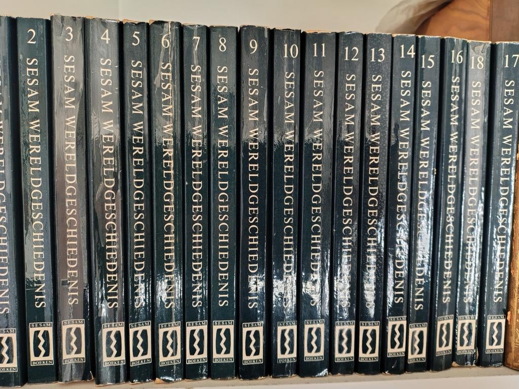 Sesam wereldgeschiedenis, Boeken, Ophalen of Verzenden, Europa