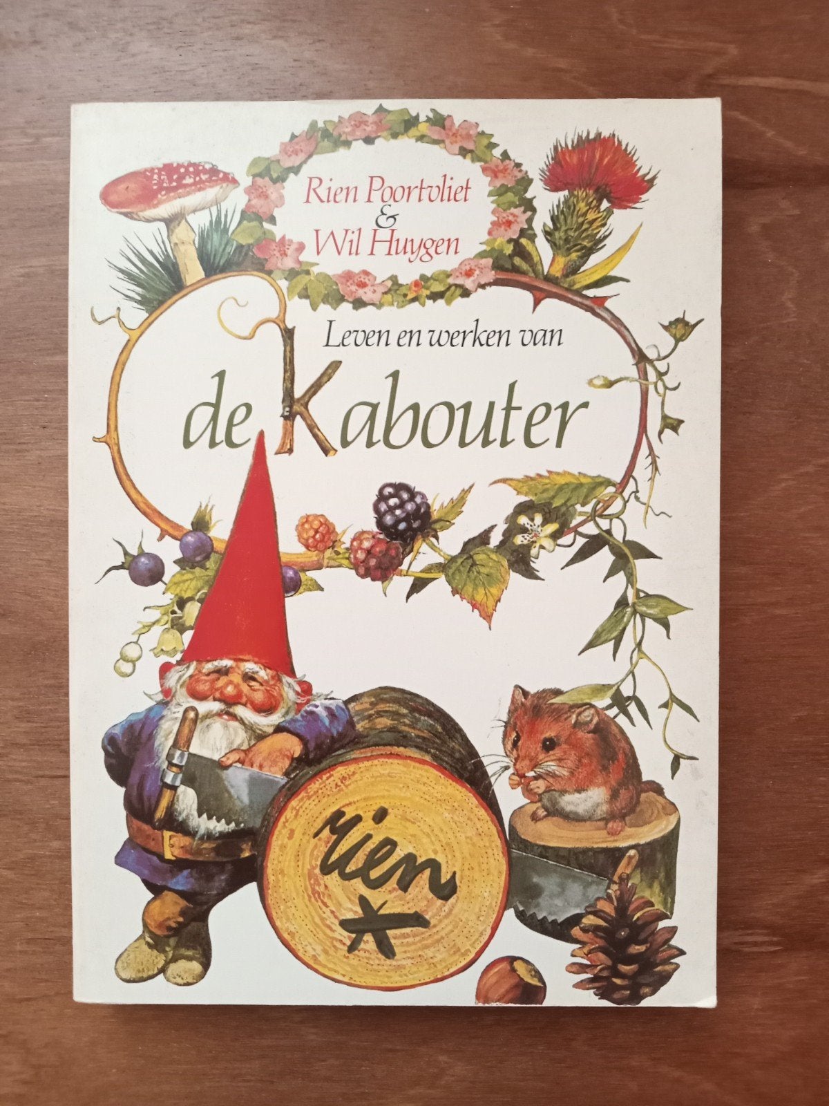 De Kabouter / Kabouter David, Ophalen of Verzenden, Gelezen, Rien Poortvliet & Wil Huygen, Fictie algemeen