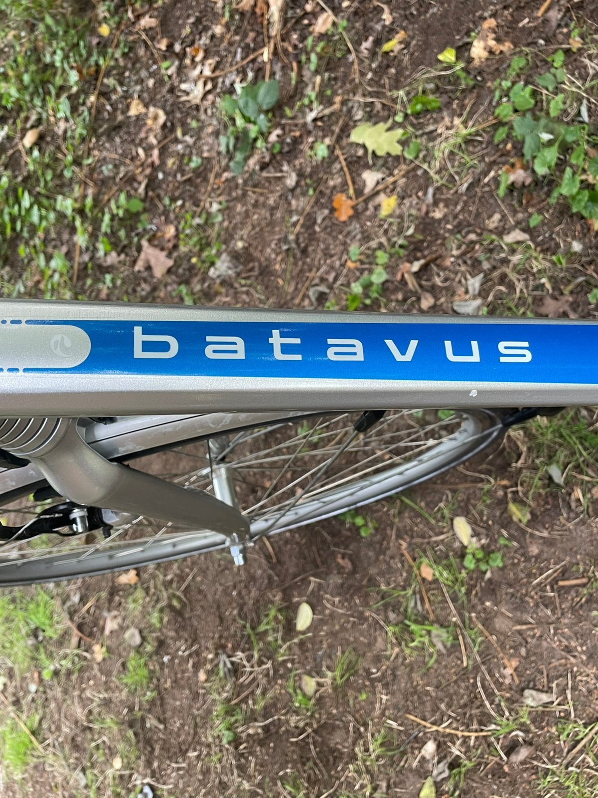 Foto 19 van Batavus FUEGO elektrische 28 inch framemaat 65 cm