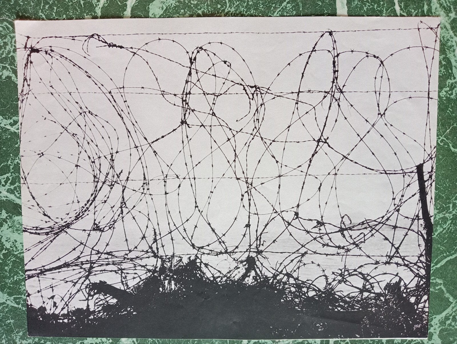 Fotogravure ca 1970 prikkeldraad, Ophalen of Verzenden, 1960 tot 1980, Overige onderwerpen