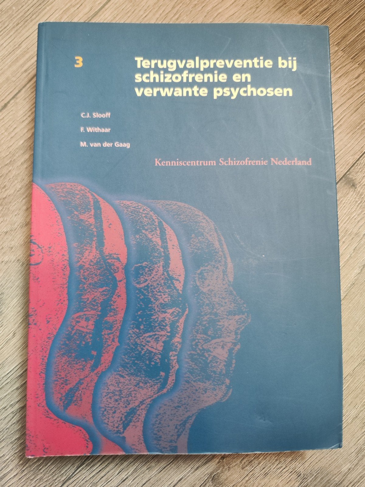 Terugvalpreventie bij schizofrenie en verwante psychosen, Boeken, Studieboeken en Cursussen, Ophalen of Verzenden, Beta, Gelezen