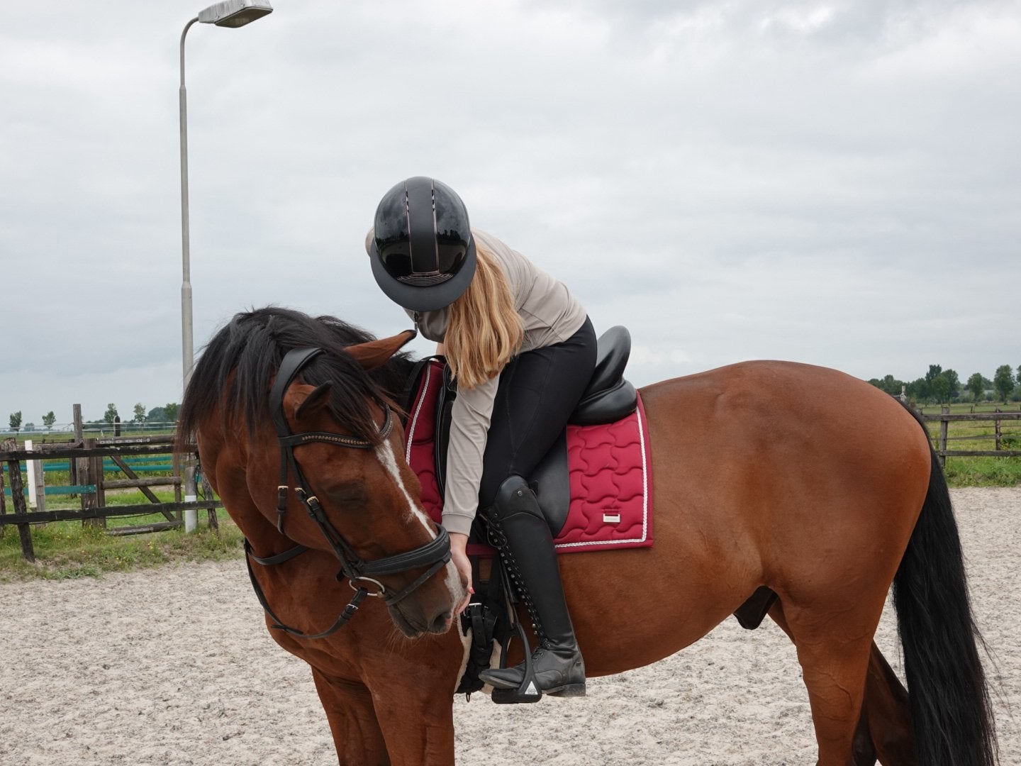 Verzorgpony/bijrijdpony gezocht omgeving Zwolle, Ophalen, Nieuw