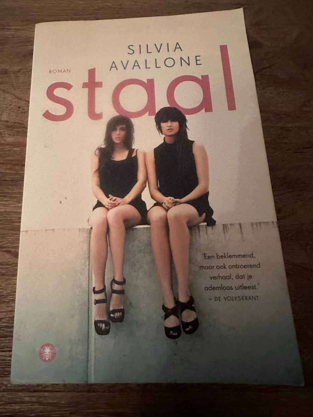 Staal - Silvia Avallone (Roman), Boeken, Ophalen of Verzenden, Zo goed als nieuw, Europa overig