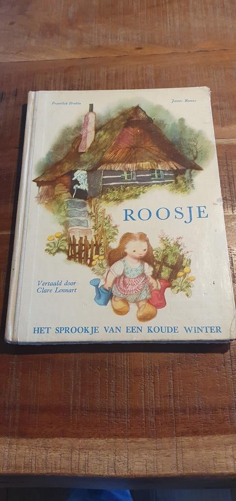 Boek. Roosje. Het sprookje van een koude winter., Boeken, Ophalen of Verzenden