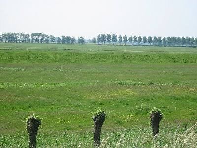 Gezocht stukje wei heinoord