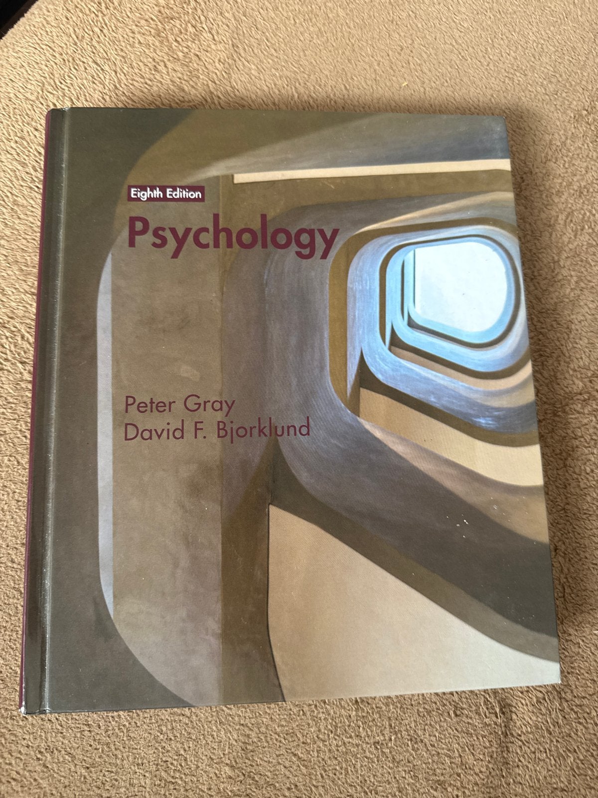 Psychology - Eighth Edition - Peter Gray & David F. Bjorklun, Ophalen of Verzenden, Gelezen, Overige onderwerpen