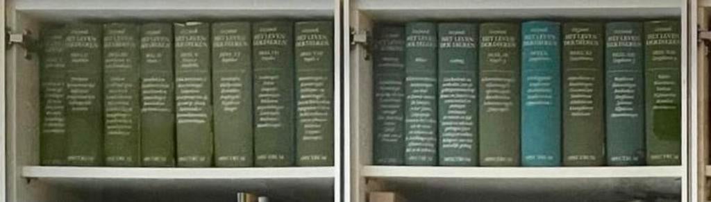 Grzimek dierenencyclopedie complete serie incl. Verrekijker, Boeken, Ophalen, Zo goed als nieuw, Algemeen