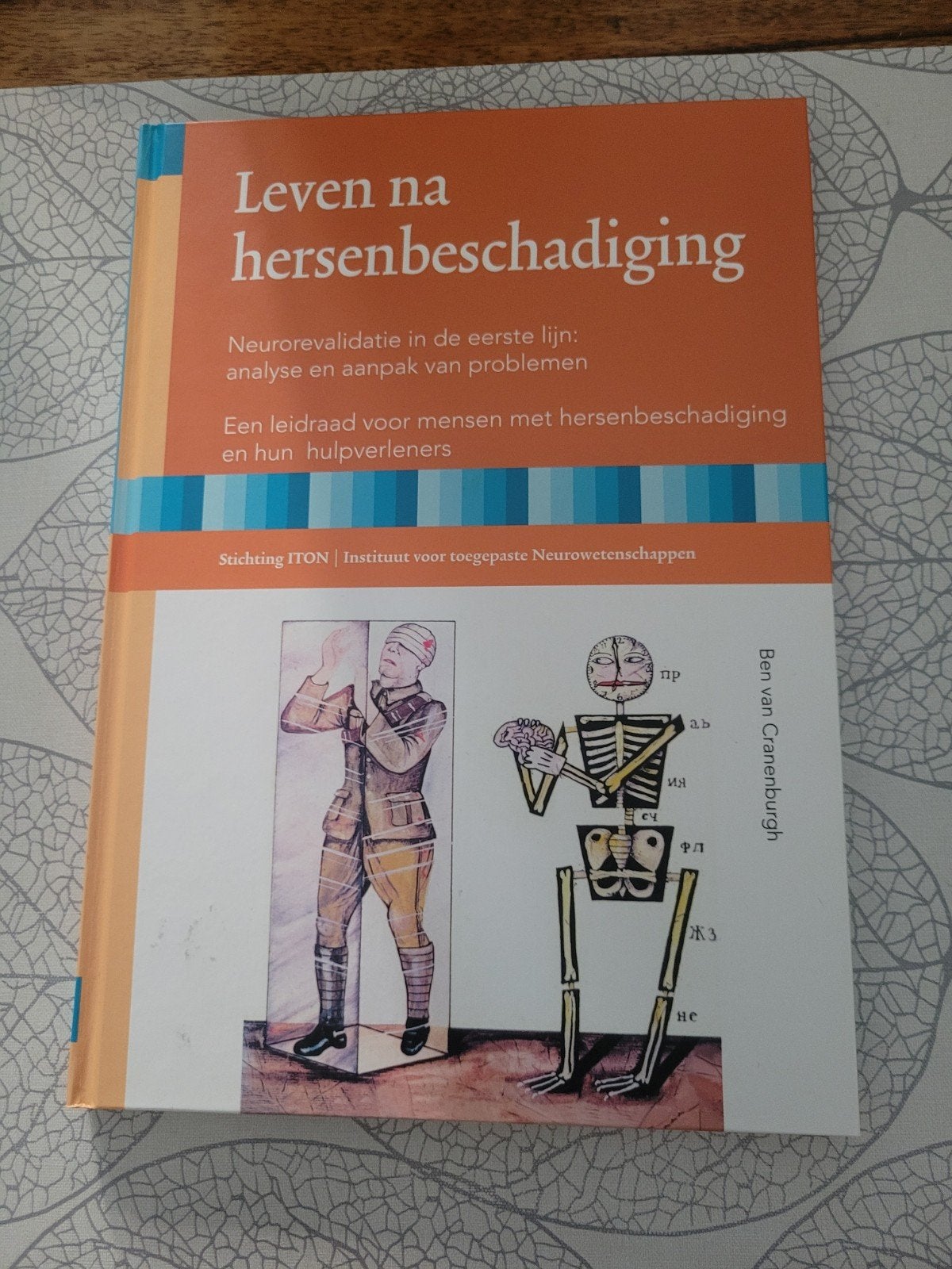 Leven na hersenbeschadiging - Neurorevalidatie, Boeken, Ophalen, Ben van Cranenburgh, HBO, Zo goed als nieuw