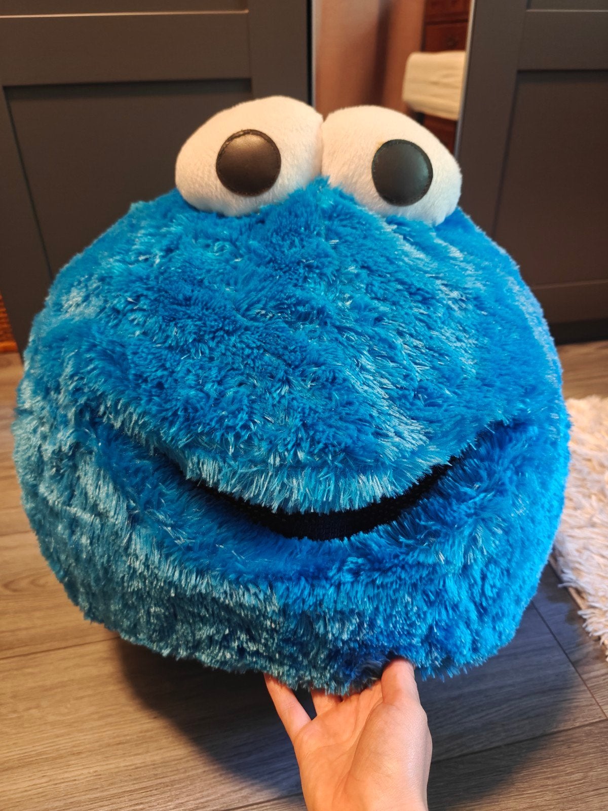 Koekiemonster Kostuum Compleet Pak maat L, Ophalen, Zo goed als nieuw, Pak of Jurk