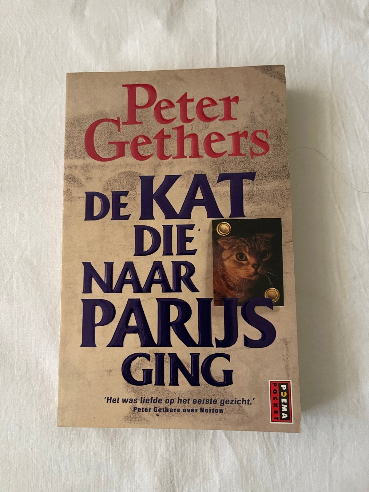 De Kat Die Naar Parijs Ging - Peter Gethers mt 13x18 cm, Boeken, Ophalen of Verzenden, Gelezen, Nederland