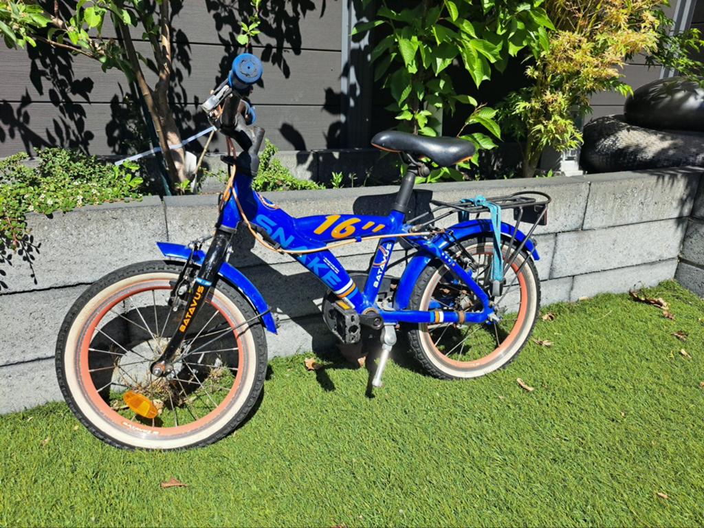 Batavus Snake 16" Blauwe jongensfiets, Ophalen, Terugtraprem, Gebruikt, Handrem