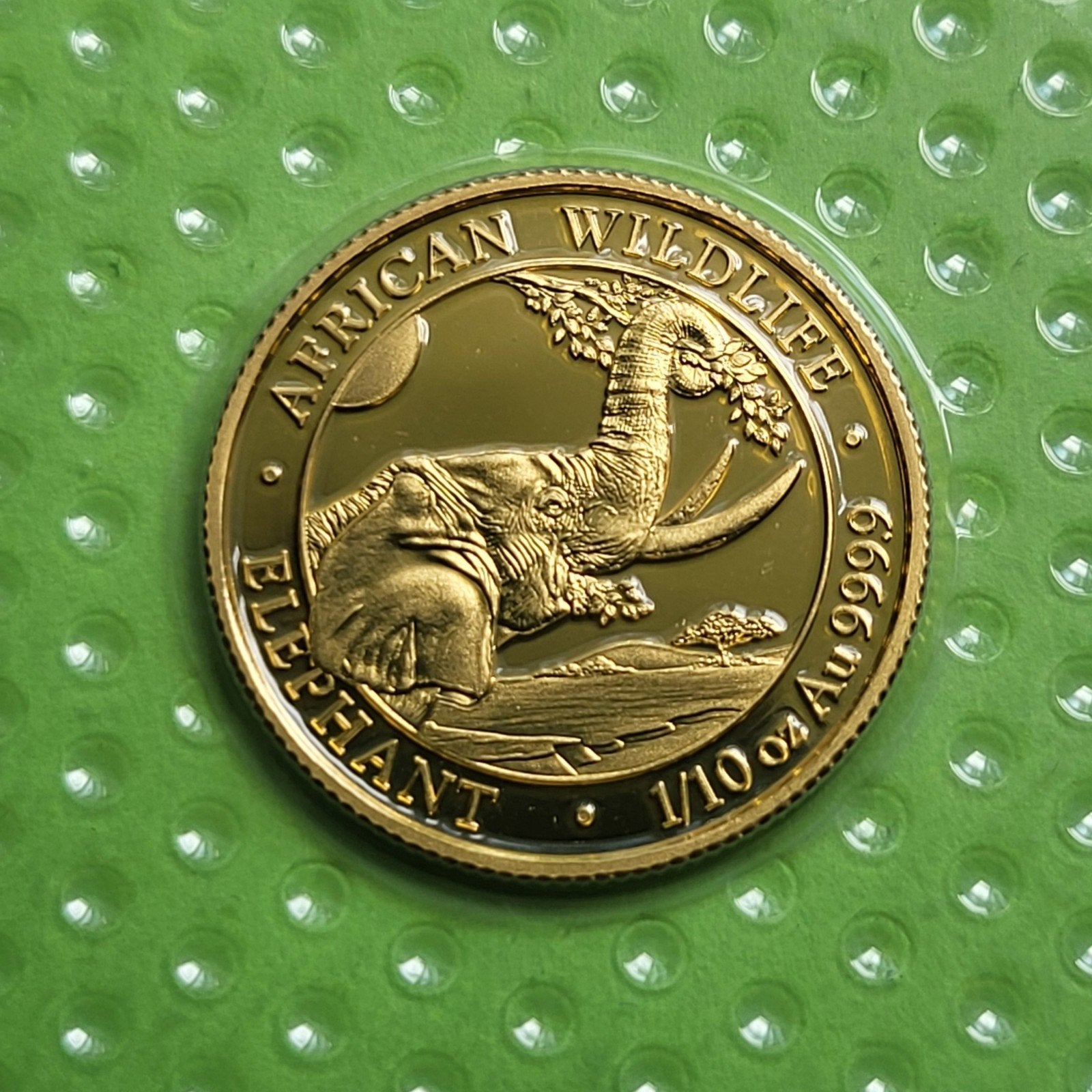 Somalia elephant 2023 - 1/10 oz goud, Verzenden, Goud