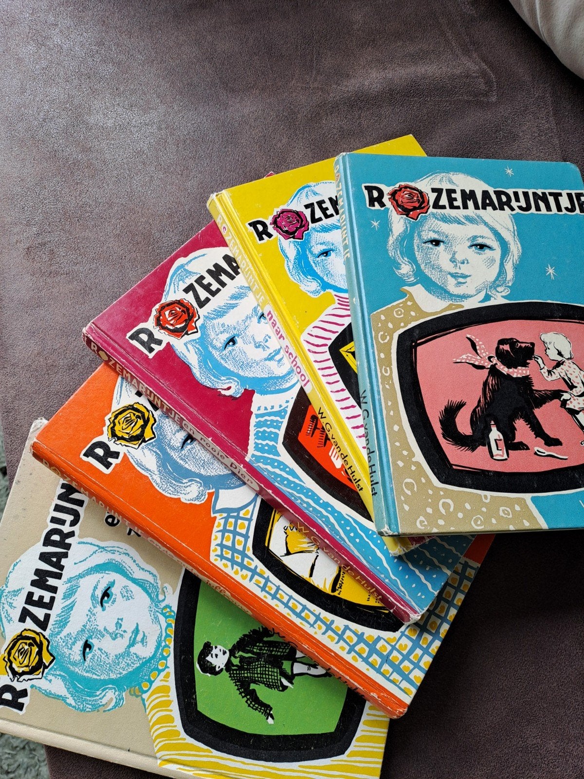 Rozemarijntje serie  5 boeken mag ook los, Gelezen, Fictie algemeen, W.G. van de Hulst, Ophalen of Verzenden