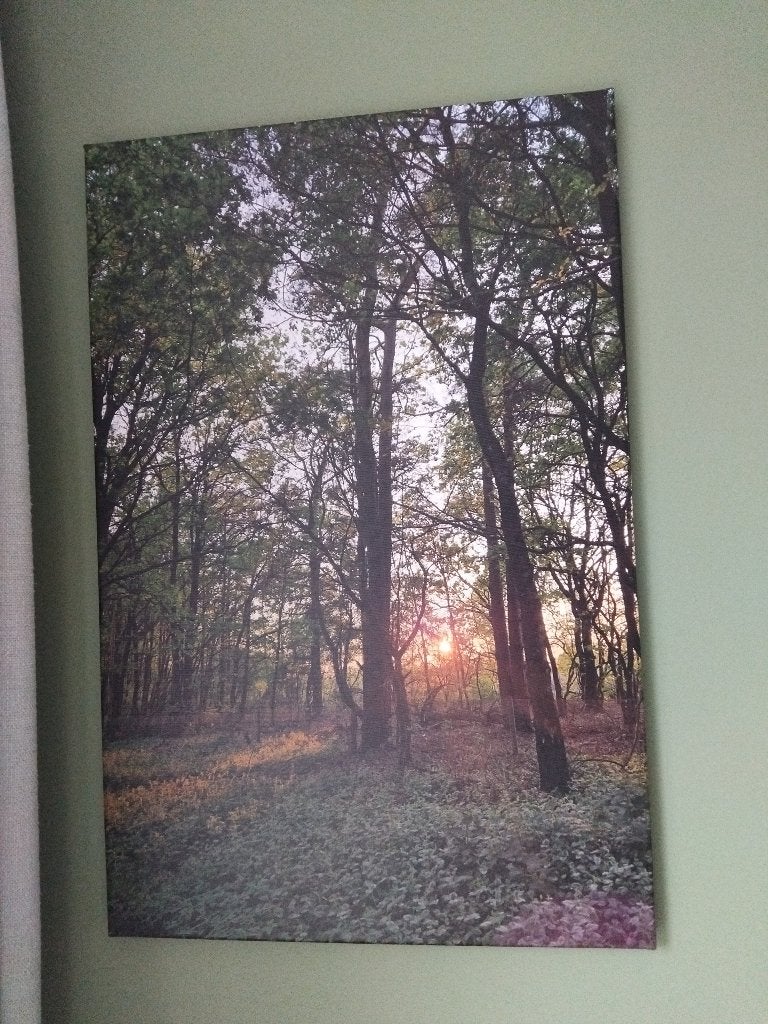 Schilderij, Overige materialen, Overige technieken, Landschap, Ophalen