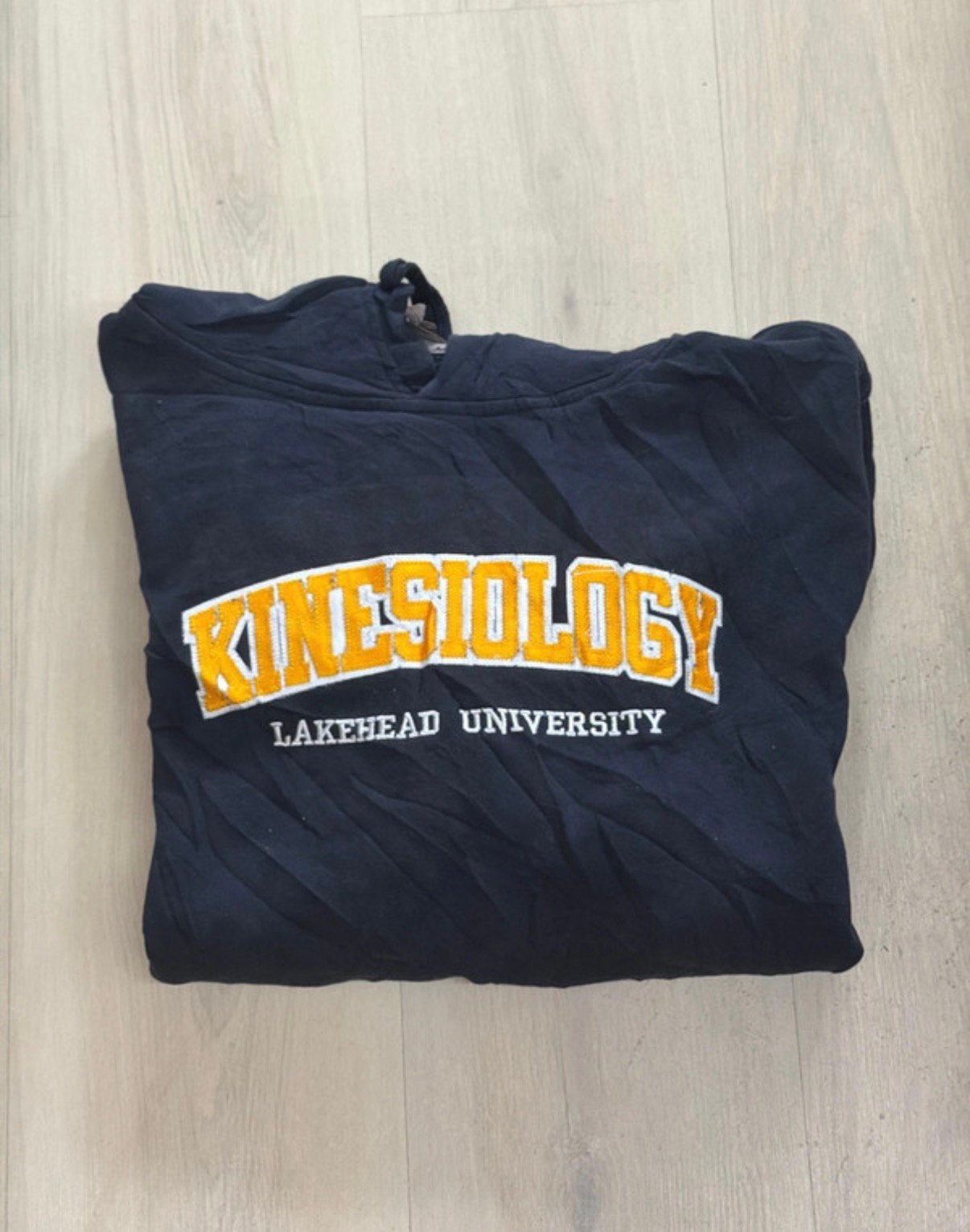 Lakehead University Kinesiology Hoodie, Kleding | Dames, Truien en Vesten, Ophalen of Verzenden, Zo goed als nieuw, Maat 42/44 (L)