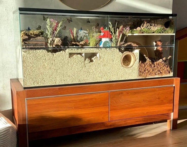Terrarium 140x50x60 met opbergkast, Ophalen, Gebruikt, Terrarium of Paludarium