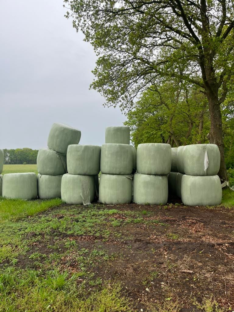 34 Ronde balen te koop, Ophalen, Vee