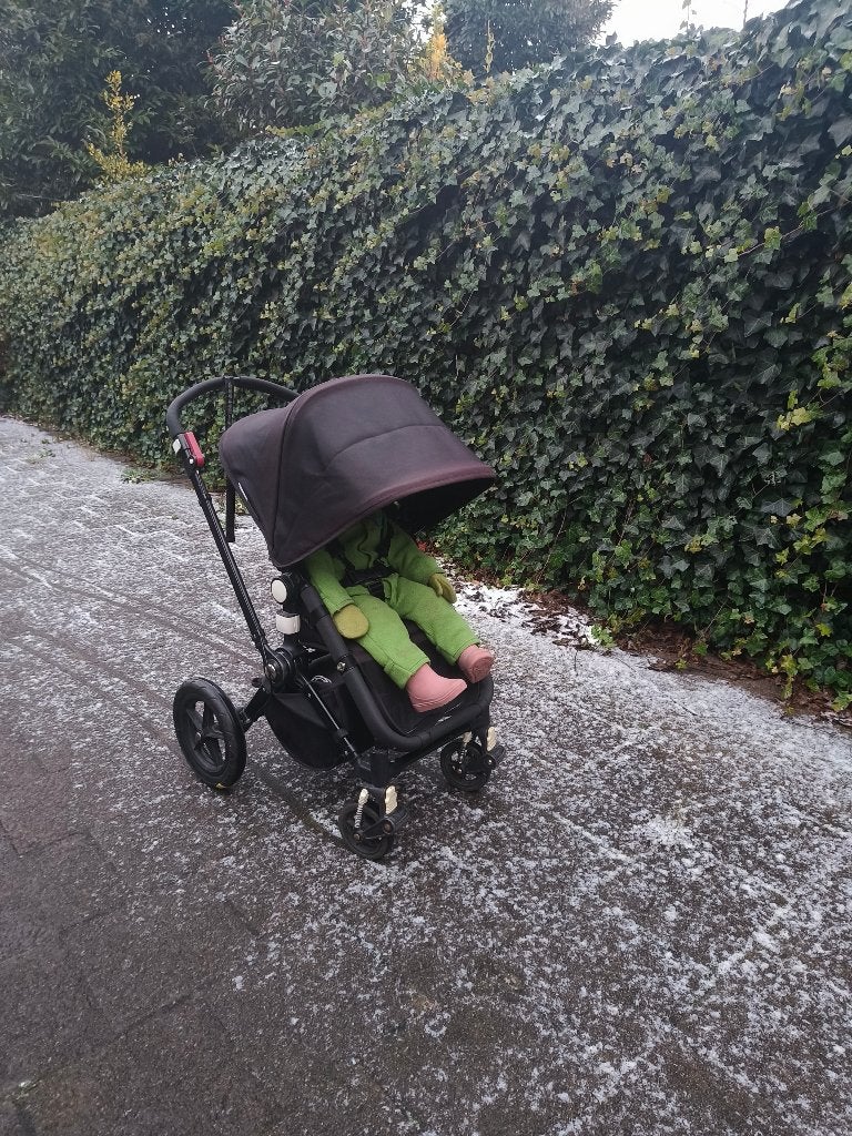 Bugaboo Chameleon inclusief opberghoes/reistas, Kinderwagen, Gebruikt, Bugaboo, Verstelbare duwstang