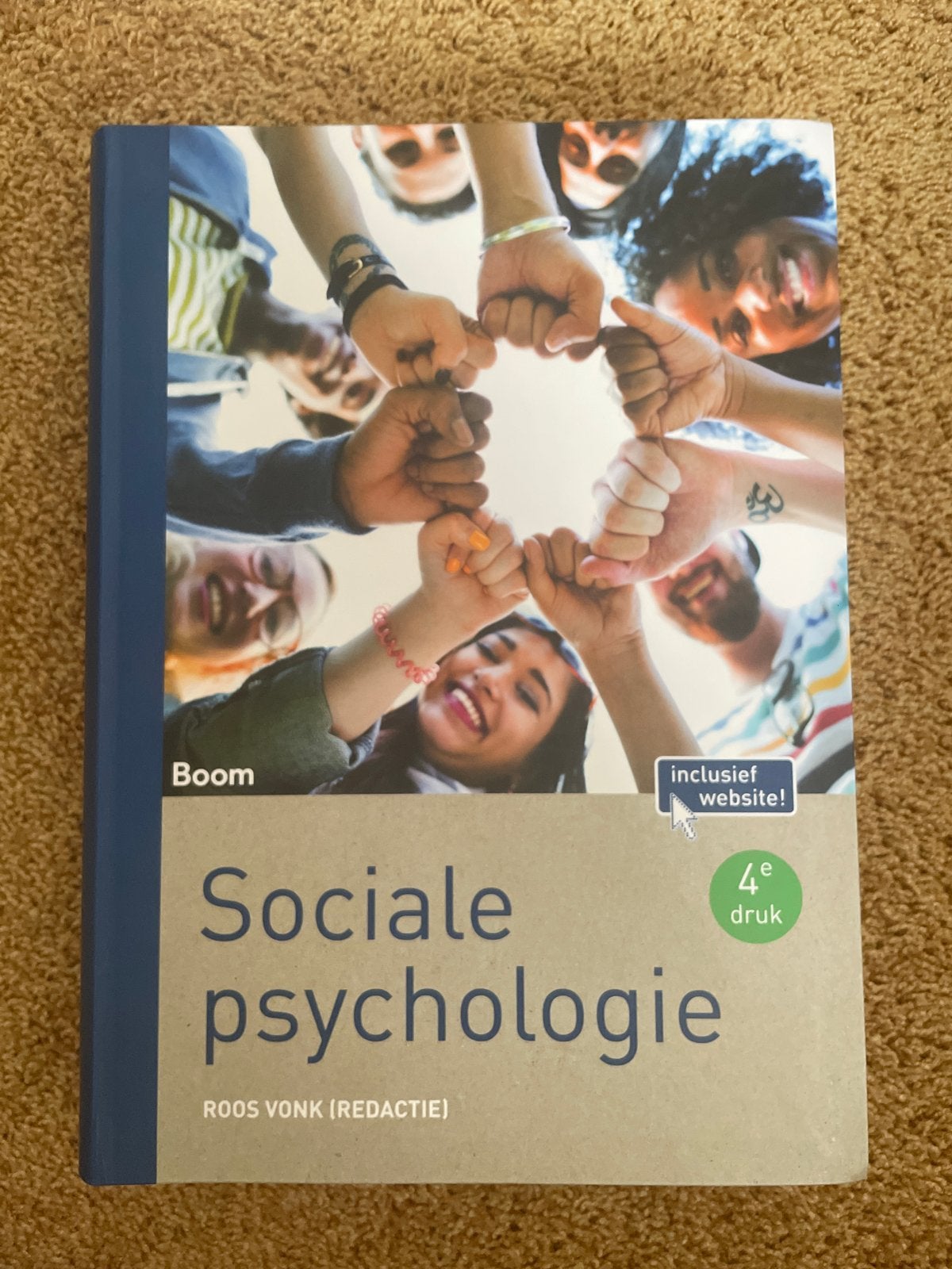 Sociale Psychologie - Roos Vonk (4e druk), Boeken, Ophalen of Verzenden, Gamma, Zo goed als nieuw, HBO