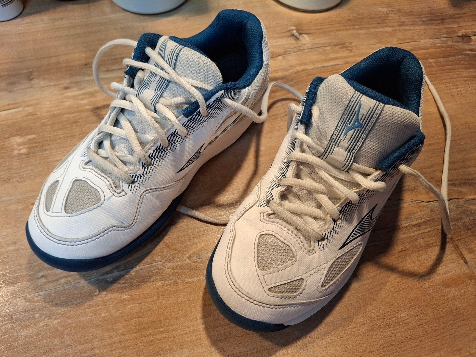 Mizuno zaal sportschoenen, Sport en Fitness, Loopsport en Atletiek, Overige typen, Zo goed als nieuw, Overige sporten, Ophalen
