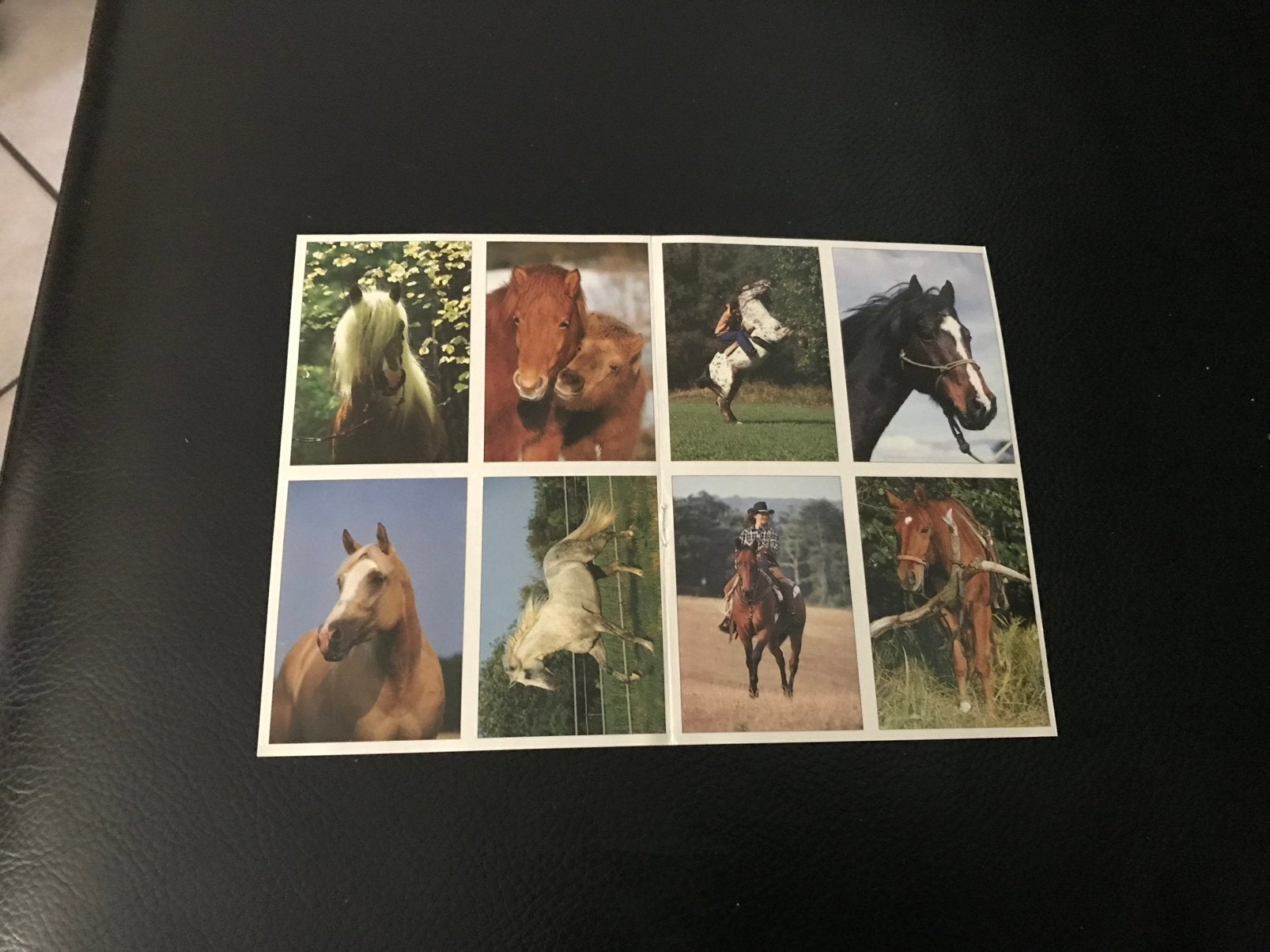 Stickerspanini paarden, Ophalen of Verzenden, Zo goed als nieuw