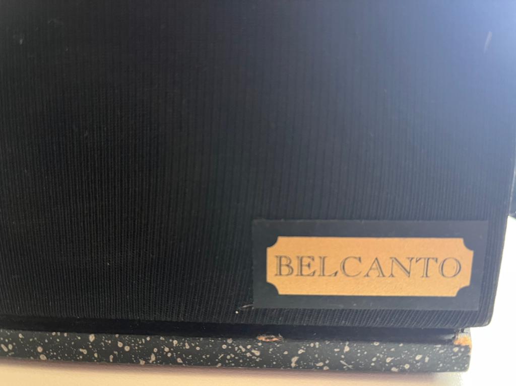 Geluidsboxen, merk Belcanto., Audio, Tv en Foto, Ophalen, Gebruikt, Minder dan 60 watt, Overige merken