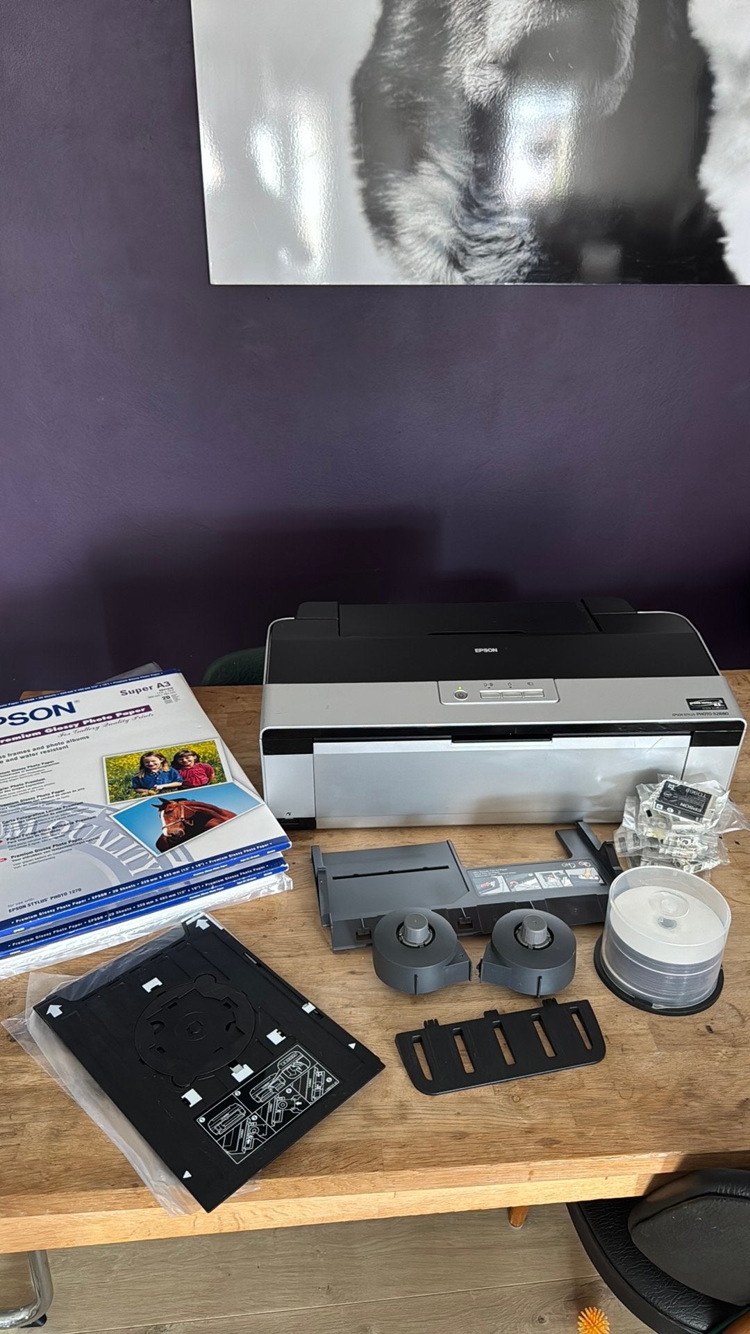 Epson Stylus Photo R2880 Fotoprinter - Uitstekende Staat, Ophalen, Fotoprinter, Inkjetprinter, Kleur printen