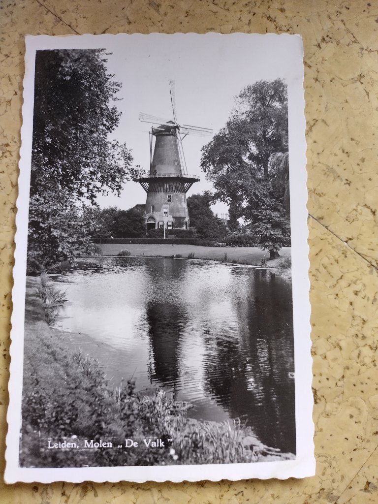 ansicht Leiden, Ophalen of Verzenden, 1960 tot 1980, Gelopen, Zuid-Holland