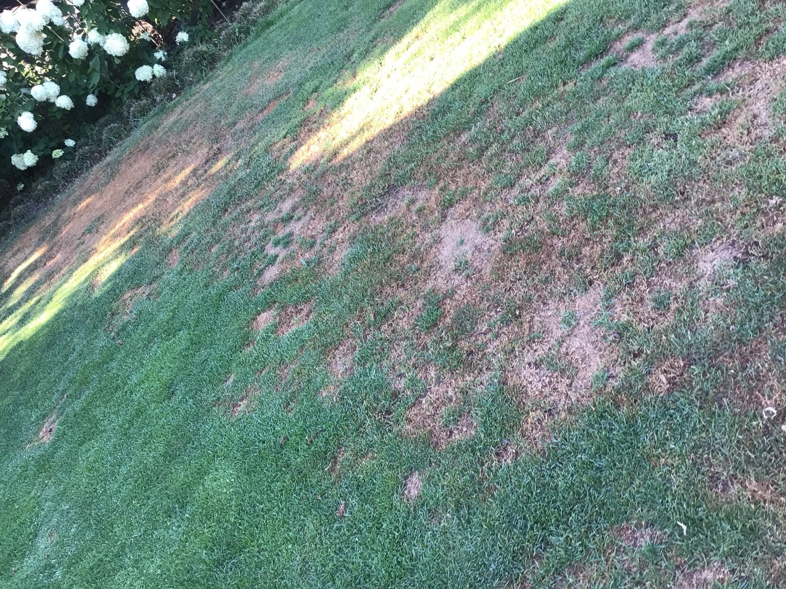 Graag restpartij graszoden, Ophalen, Zo goed als nieuw, Minder dan 10 m²