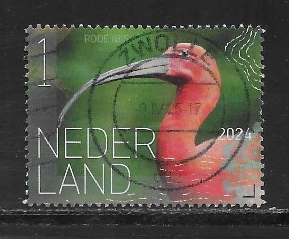 2024, Vogels Bonaire, Rode Ibis [4169] (K2214), Ophalen of Verzenden