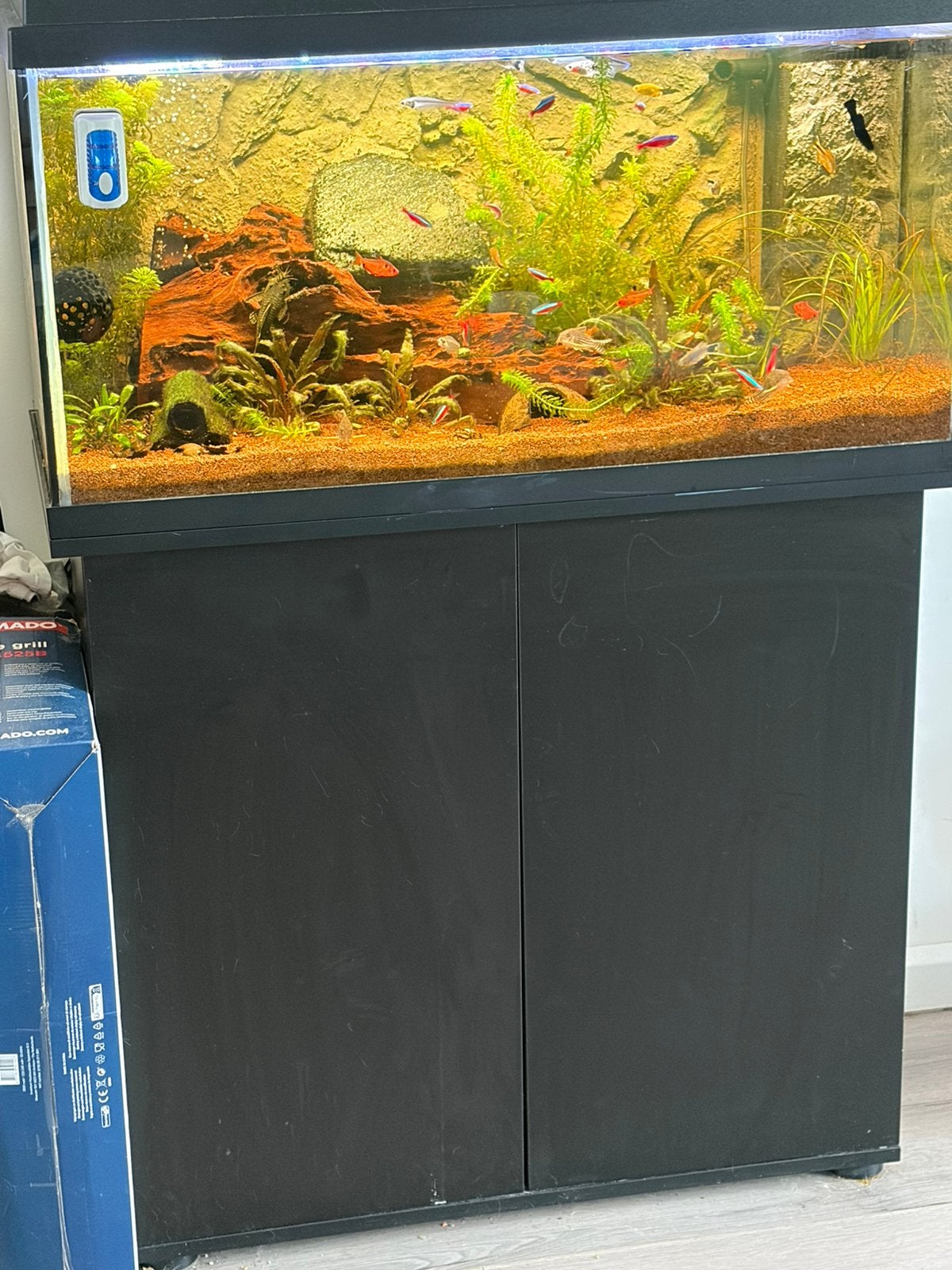 compleet juwel aquarium 125L, Ophalen, Zo goed als nieuw, Leeg aquarium